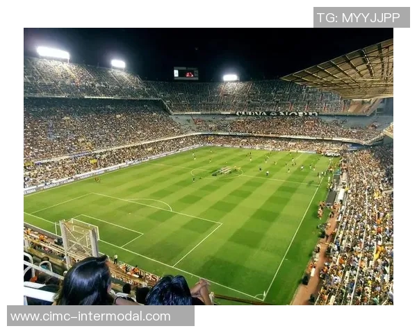 带泽的足球明星们如何在绿茵场上书写传奇与荣耀的篇章 带泽的足球明星们如何在绿茵场上书写传奇与荣耀的篇章